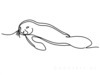 Minimalist Line Art of Raccoon's Masked Eye Area