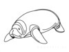 Minimalist Line Art of Raccoon's Masked Eye Area