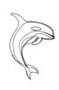 Minimalist Line Art of Raccoon's Masked Eye Area
