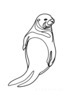 Minimalist Line Art of Raccoon's Masked Eye Area
