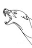Minimalist Line Art of Raccoon's Masked Eye Area