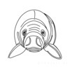 Minimalist Line Art of Raccoon's Masked Eye Area
