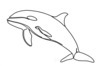 Minimalist Line Art of Raccoon's Masked Eye Area