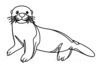 Minimalist Line Art of Raccoon's Masked Eye Area