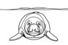 Minimalist Line Art of Raccoon's Masked Eye Area