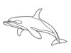 Minimalist Line Art of Raccoon's Masked Eye Area