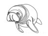 Minimalist Line Art of Raccoon's Masked Eye Area