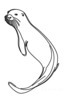 Minimalist Line Art of Raccoon's Masked Eye Area