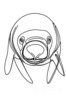 Minimalist Line Art of Raccoon's Masked Eye Area
