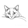 Minimalist Line Art of Ragdoll Cat Lying on Back with Gazing Eyes
