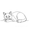 Minimalist Line Art of Ragdoll Cat Lying on Back with Gazing Eyes