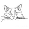 Minimalist Line Art of Ragdoll Cat Lying on Back with Gazing Eyes