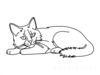 Minimalist Line Art of Ragdoll Cat Lying on Back with Gazing Eyes