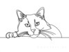 Minimalist Line Art of Ragdoll Cat Lying on Back with Gazing Eyes