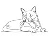 Minimalist Line Art of Ragdoll Cat Lying on Back with Gazing Eyes