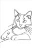 Minimalist Line Art of Ragdoll Cat Lying on Back with Gazing Eyes