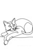 Minimalist Line Art of Ragdoll Cat Lying on Back with Gazing Eyes