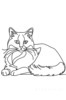 Minimalist Line Art of Ragdoll Cat Lying on Back with Gazing Eyes