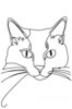 Minimalist Line Art of Ragdoll Cat Lying on Back with Gazing Eyes