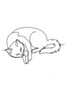 Minimalist Line Art of Ragdoll Cat Lying on Back with Gazing Eyes