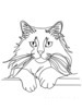 Minimalist Line Art of Ragdoll Cat Lying on Back with Gazing Eyes