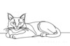 Minimalist Line Art of Ragdoll Cat Lying on Back with Gazing Eyes