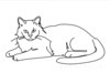 Minimalist Line Art of Ragdoll Cat Lying on Back with Gazing Eyes