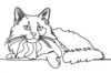 Minimalist Line Art of Ragdoll Cat Lying on Back with Gazing Eyes