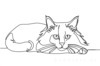 Minimalist Line Art of Ragdoll Cat Lying on Back with Gazing Eyes