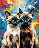 Expressive Siamese Cat Lost in Reflection Art Print