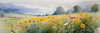 Vibrant Wildflower Meadows with Mist-Shrouded Mountain Range