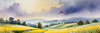 Vibrant Wildflower Meadows with Mist-Shrouded Mountain Range