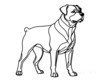 Minimalist Line Art of a Majestic Rottweiler Standing Firm