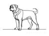 Minimalist Line Art of a Majestic Rottweiler Standing Firm