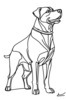 Minimalist Line Art of a Majestic Rottweiler Standing Firm