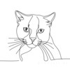 Minimalist Line Art of a Charming Scottish Fold Cat