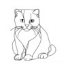 Minimalist Line Art of a Charming Scottish Fold Cat