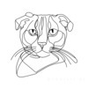 Minimalist Line Art of a Charming Scottish Fold Cat