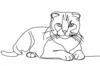 Minimalist Line Art of a Charming Scottish Fold Cat