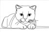 Minimalist Line Art of a Charming Scottish Fold Cat