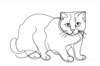 Minimalist Line Art of a Charming Scottish Fold Cat