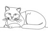 Minimalist Line Art of a Charming Scottish Fold Cat