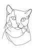 Minimalist Line Art of a Charming Scottish Fold Cat