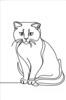 Minimalist Line Art of a Charming Scottish Fold Cat
