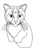 Minimalist Line Art of a Charming Scottish Fold Cat