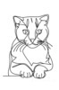 Minimalist Line Art of a Charming Scottish Fold Cat