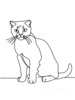 Minimalist Line Art of a Charming Scottish Fold Cat