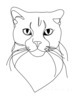 Minimalist Line Art of a Charming Scottish Fold Cat