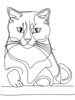 Minimalist Line Art of a Charming Scottish Fold Cat