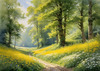 Secluded Glade Filled with Wildflowers and Dappled Sunlight Landscape Print